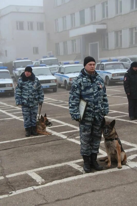 Кинолог в полиции зарплата. Чаплыгин александр иванович кинолог. савина евгения кинолог. кинологи мвд саратов. кинолог рязань.