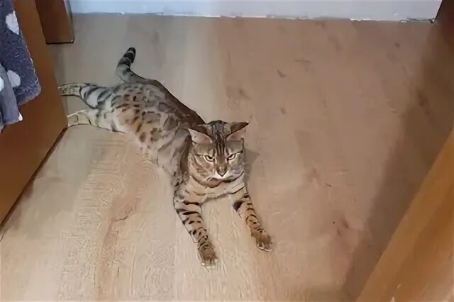 Червяков 55. Червяков федор александрович корреспондент. Червяков 55. Червякова д2. Дом червякова.