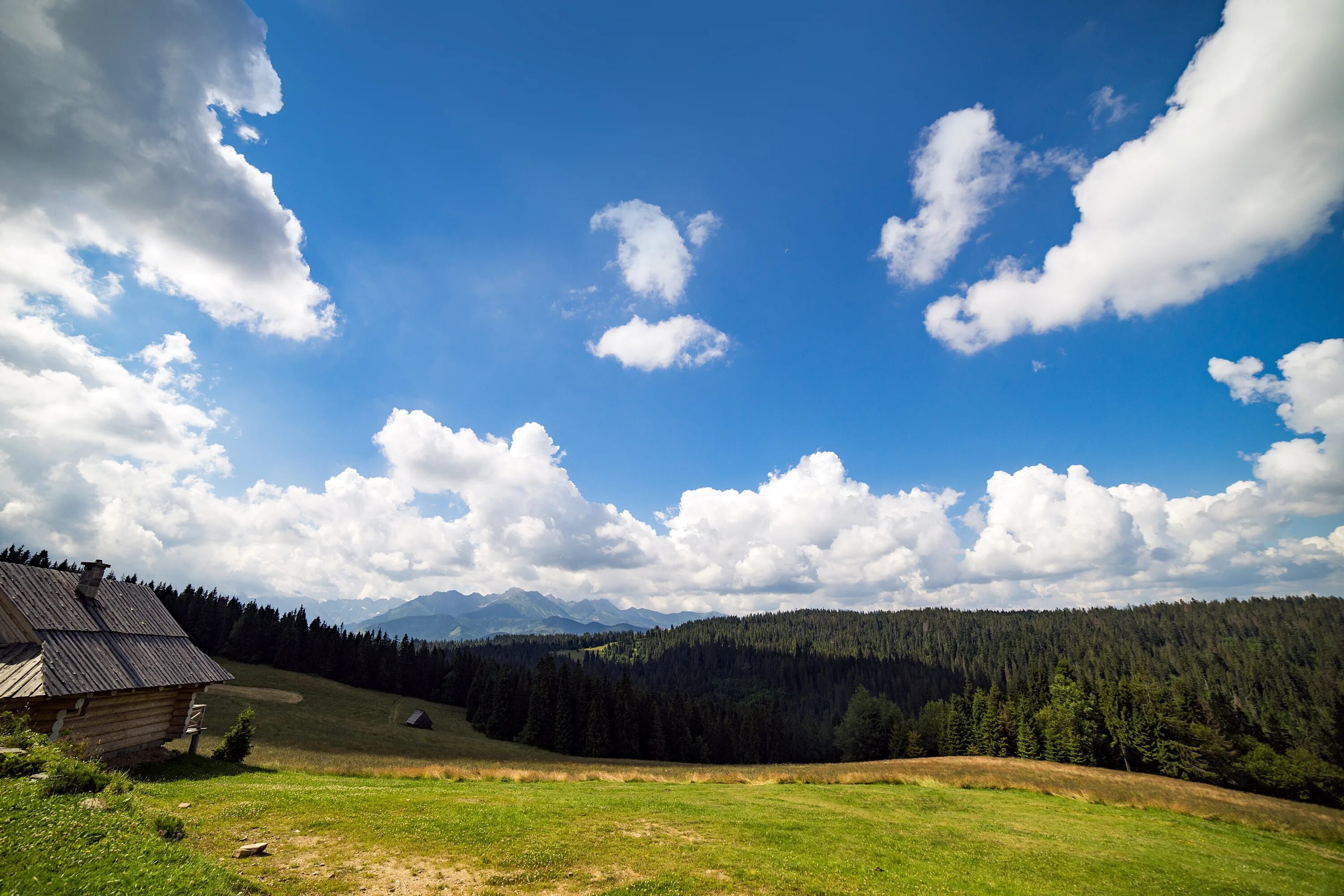 Vast country. Горы Карпаты (Татры). Карпатские горы Польша. Западные Карпаты Словакия. Карпаты вид из Словакии.