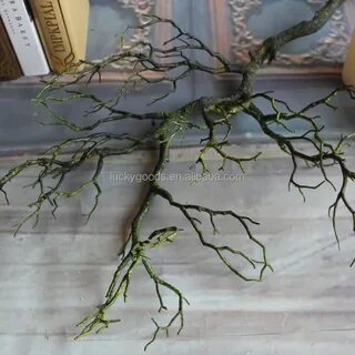 Сколько стоят ветки