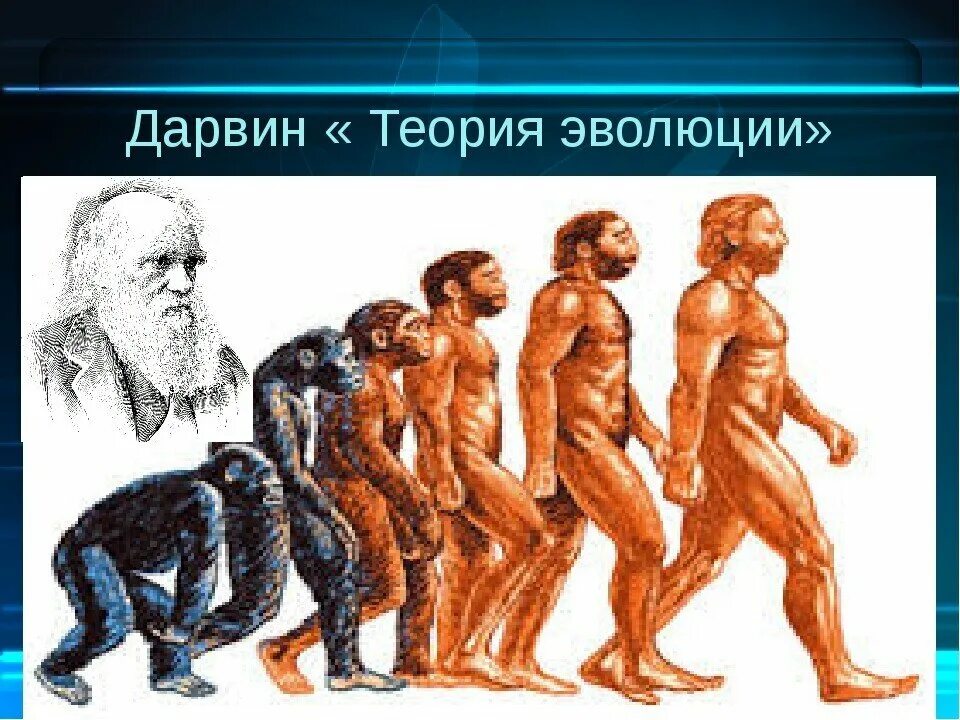 Первая теория дарвина. Эволюционная теория Чарльза Дарвина. Теория эволюции Дарвина.