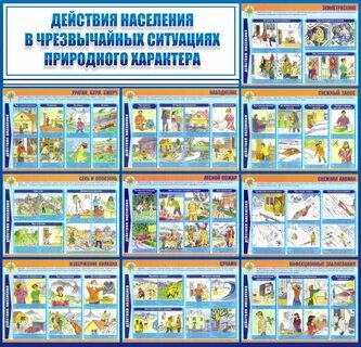 Алгоритм поведения при чс природного характера