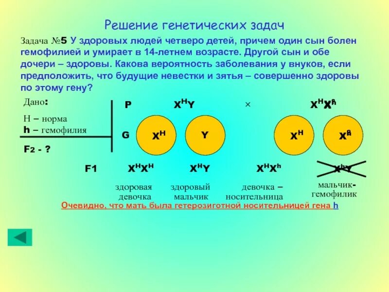 Задачи решение по генетике заболевания. Вывод по теме решение генетических задач по биологии. Задачи по генетике пола 9 класс с решением. Решение задач по генетике с нуля.