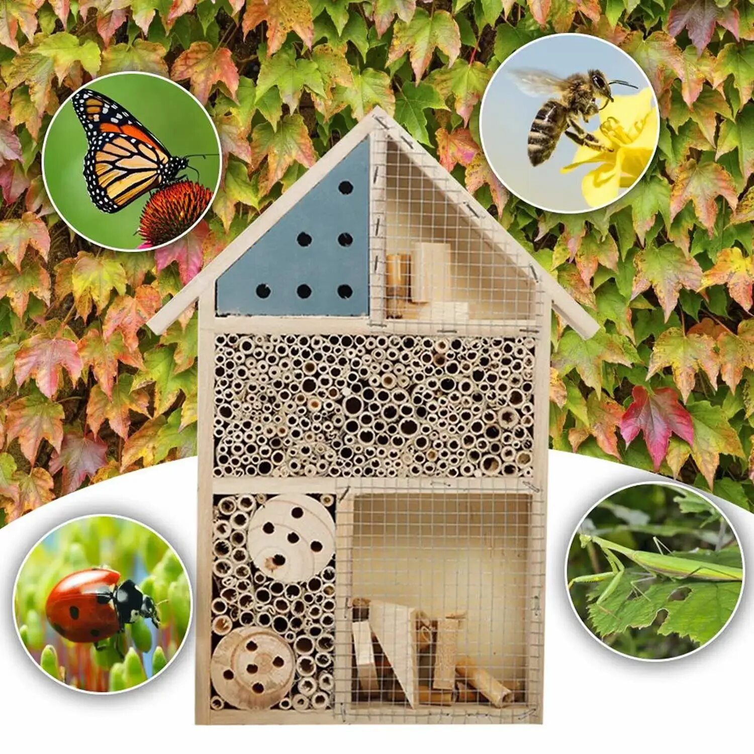 Bug room