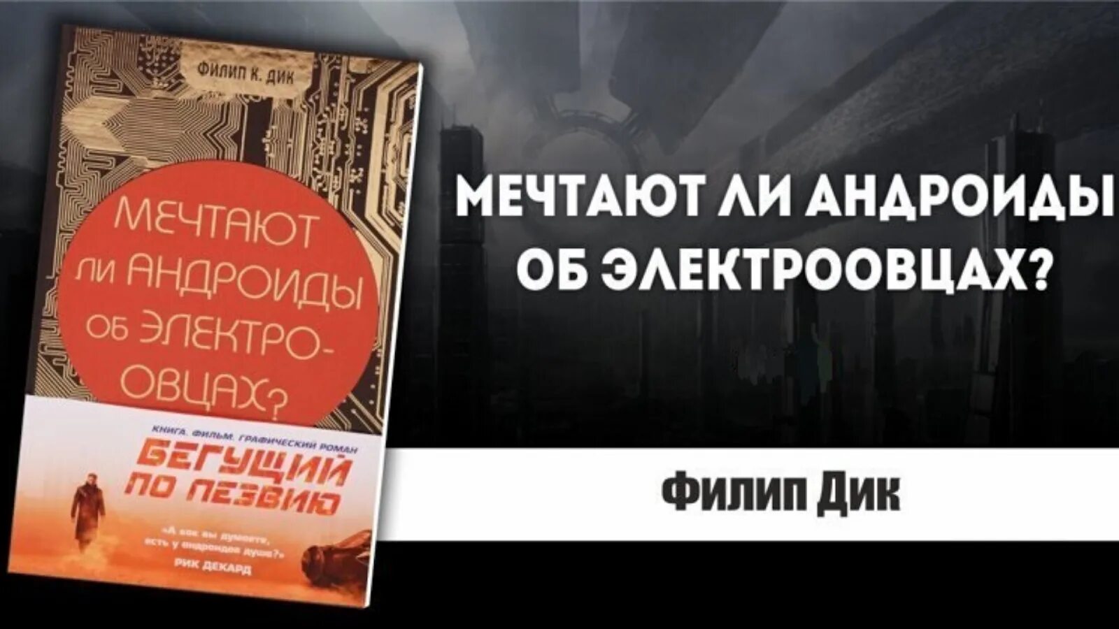 О чем мечтает дикой. Мечтают ли андроиды об электроовцах обложка книги.