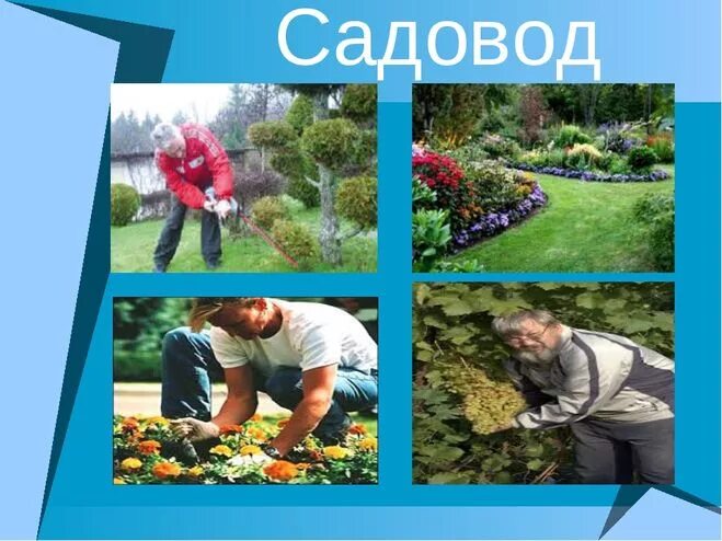 Представитель профессии связанной с биологией. Как садовод связан с биологией. Профессия цветовод. Сообщение о профессии садовод. Овощевод садовод.