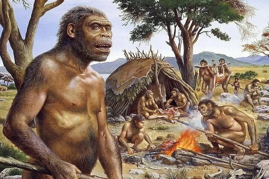 Жизнь первые люди на земле. Жизнь первые люди на земле