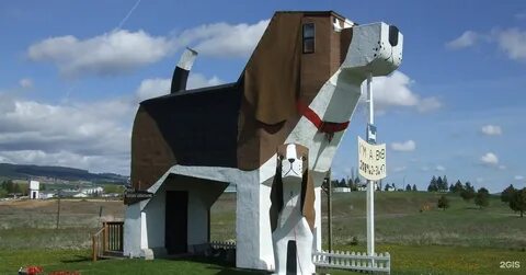 Dog house m