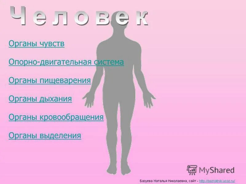 Функции опорно-двигательной системы скелет. Опорно-двигательная система человека 4 класс окружающий. Нервная система управляет всеми системами. Тело человека органы чувств. Система переносит одни вещества к клеткам тела, другие из клеток.
