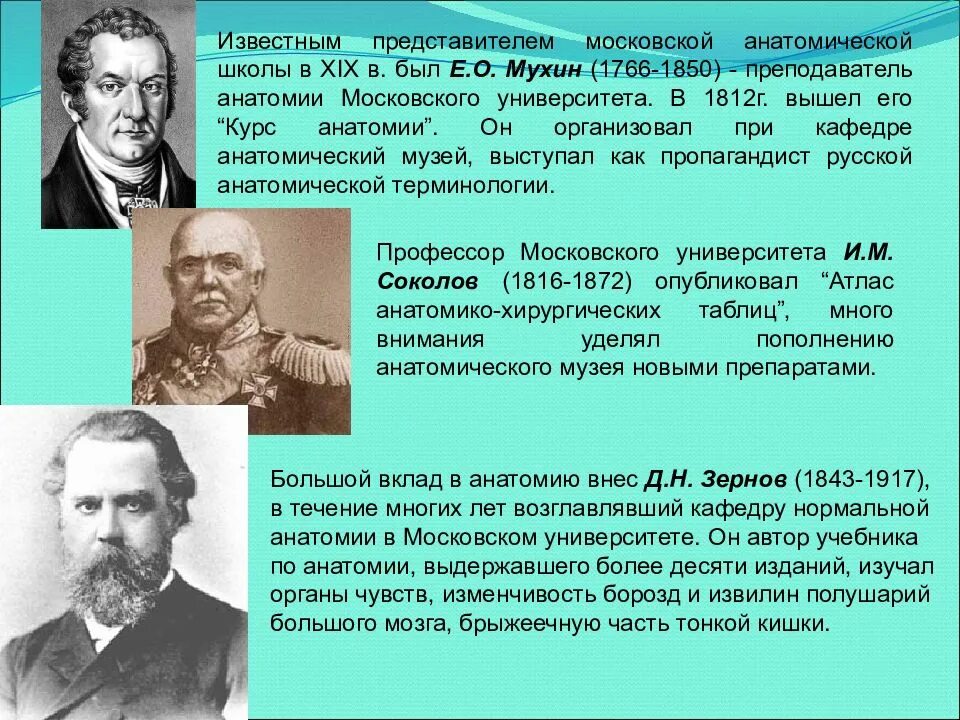 Анатомия представители. История развития анатомии. Вклад ученых в анатомию. Отечественные анатомические школы. Представители школы ученые