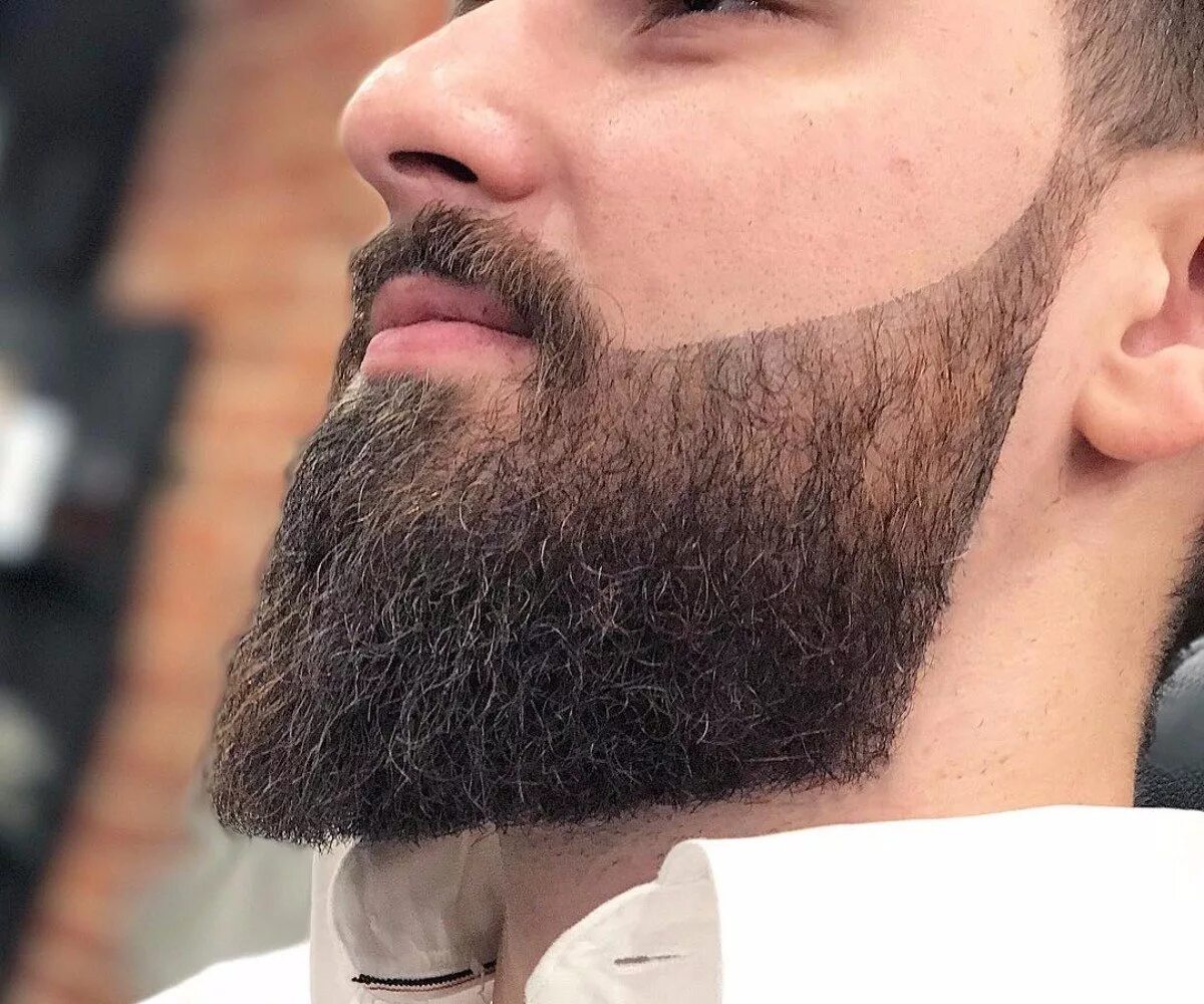Борода Бальбо. Борода Верди. Красивая борода. Дизайнерская борода.