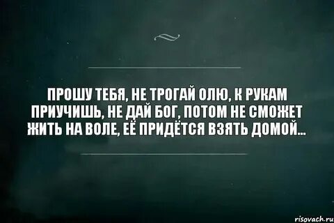 Я тебя прошу включить другую