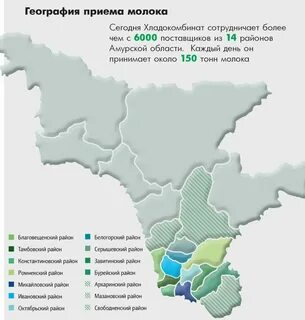 Сети город амурская область