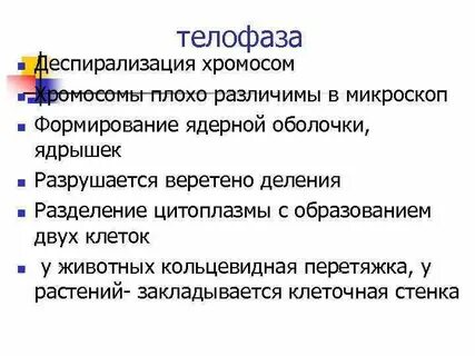 Спирализация это