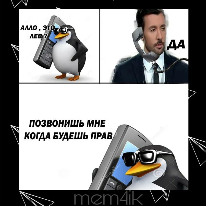 Але это пакистан нам нужен. Мемы с пингвинами. Пингвин Мем. Але. Алло Мем.