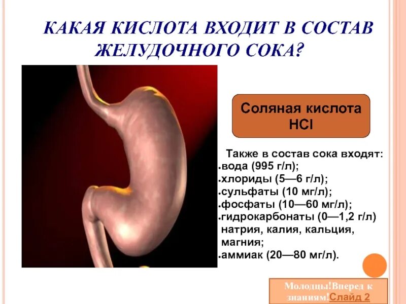 Почему выделяется желудочный сок. Концентрация соляной кислоты в желудочном соке. Соляная кислота входит в состав желудочного. Какая кислота входит в состав желудоченогосока. Соляная кислота в желудке формула.