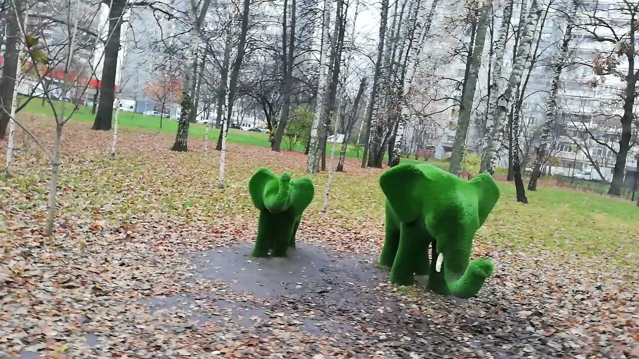 Парк различия. Различие лесопарков и парков. парки на севере москвы для детей. сквер и парк отличия.