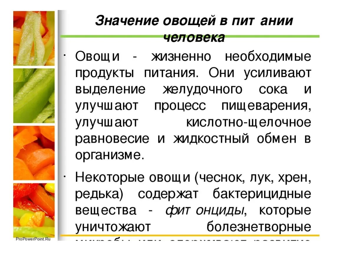 Овощи необходимые организму. Роль овощей в питании человека. Сообщение овощи в питании человека. Овощи в питании человека презентация. Важность овощей в питании.