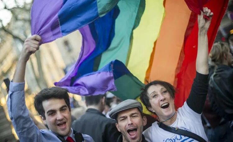 Франция parlamenti. Французы лгбт. Тупые французы. Гея,француз. Гей-браки во франции.