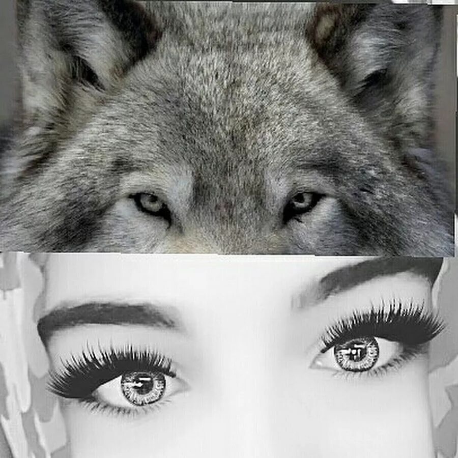 Песня одинокая волчица mp3. Девушка со взглядом волчицы. Девушка с глазами волчицы. Маленькая девочка со взглядом волчицы.