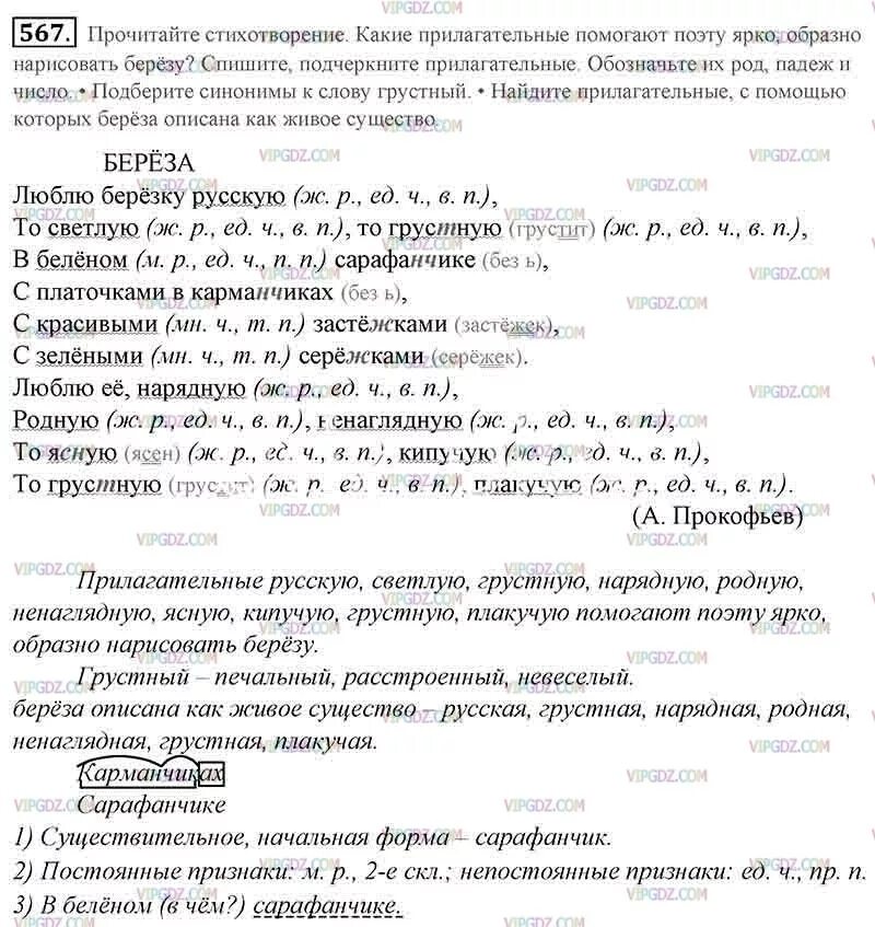 Перечитай начало стихотворения какую картину изображает поэт. Прочитайте стихотворение какие прилагательные помогают поэту ярко. Русский язык 5 класс страница 82 номер 567. Русский язык 5 класс упражнение 567. Прилагательные, с помощью которых можно описать бер.