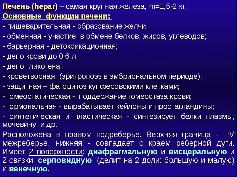 Функция печени депо крови. Функции печени. Структуры участвующие в образовании желчи. Основные функции печени. Детоксикационная функция печени презентация.