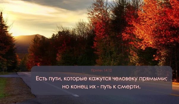Есть пути которые кажутся прямыми но конец их путь к смерти. Есть пути которые кажутся человеку прямыми но конец их погибель. Есть пути которые кажутся человеку прямыми но конец их. Так говорит господь остановитесь на путях ваших и рассмотрите. Остановитесь на путях ваших библия.