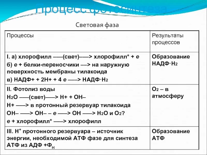 Процессы фаз. Последовательность процессов световой фазы фотосинтеза. процесс фотосинтеза фотолиз воды. фотосинтез в световой и темновой фазах. процессы темновой фазы фотосинтеза.