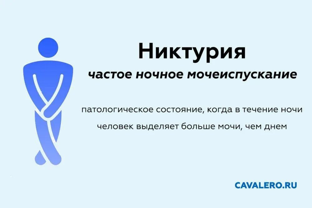 Учащенное болезненное мочеиспускание. Частоеночноемочеспскание. Учащенное ночное мочеиспускание. Причины частого мочеиспускания ночью. Частые ночные мочеиспускания.