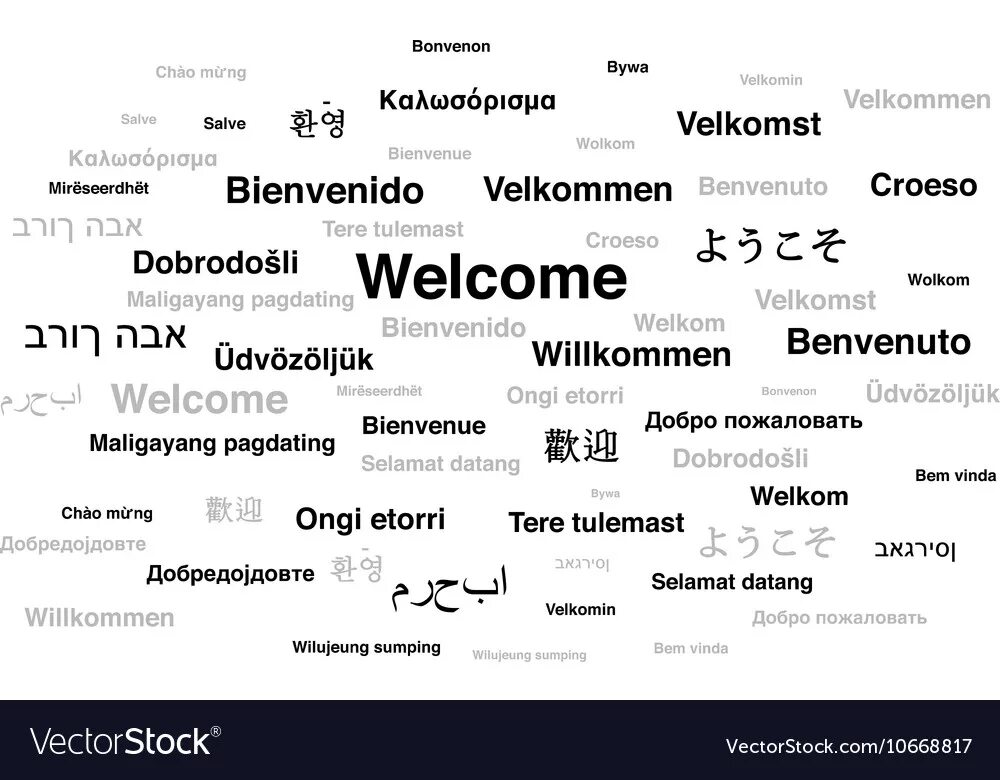 Одна программа на разных языках. Welcome на разных языках. фразы на разных языках. табличка welcome на разных языках. добро пожаловать на разных языках вектор.