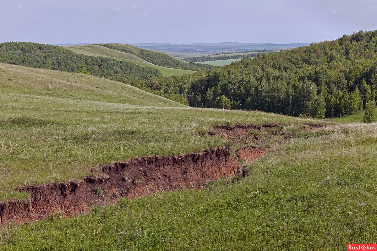 Рельеф села. Формы земной поверхности Пермского края. Рельеф Тулы. Холмистый (среднепересеченная местность);. Рельефная местность.