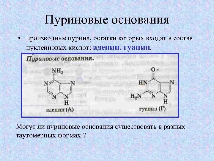 Пурин основание. Азотсодержащие гетероциклические соединения пурин. гетероциклические соединения и нуклеиновые кислоты. пурин и его производные-аденин и гуанин. аденин гуанин производные гетероциклического соединения.