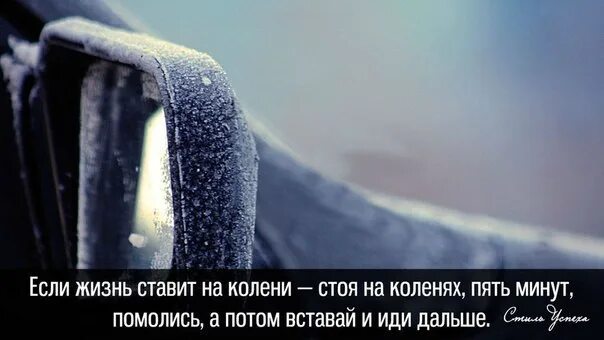 Живу поставим на всю. Если жизнь ставит на колени. Если жизнь ставит на колени помолись а потом вставай и иди дальше. Если жизнь поставила тебя на колени. Россия Встань на колени и молись.