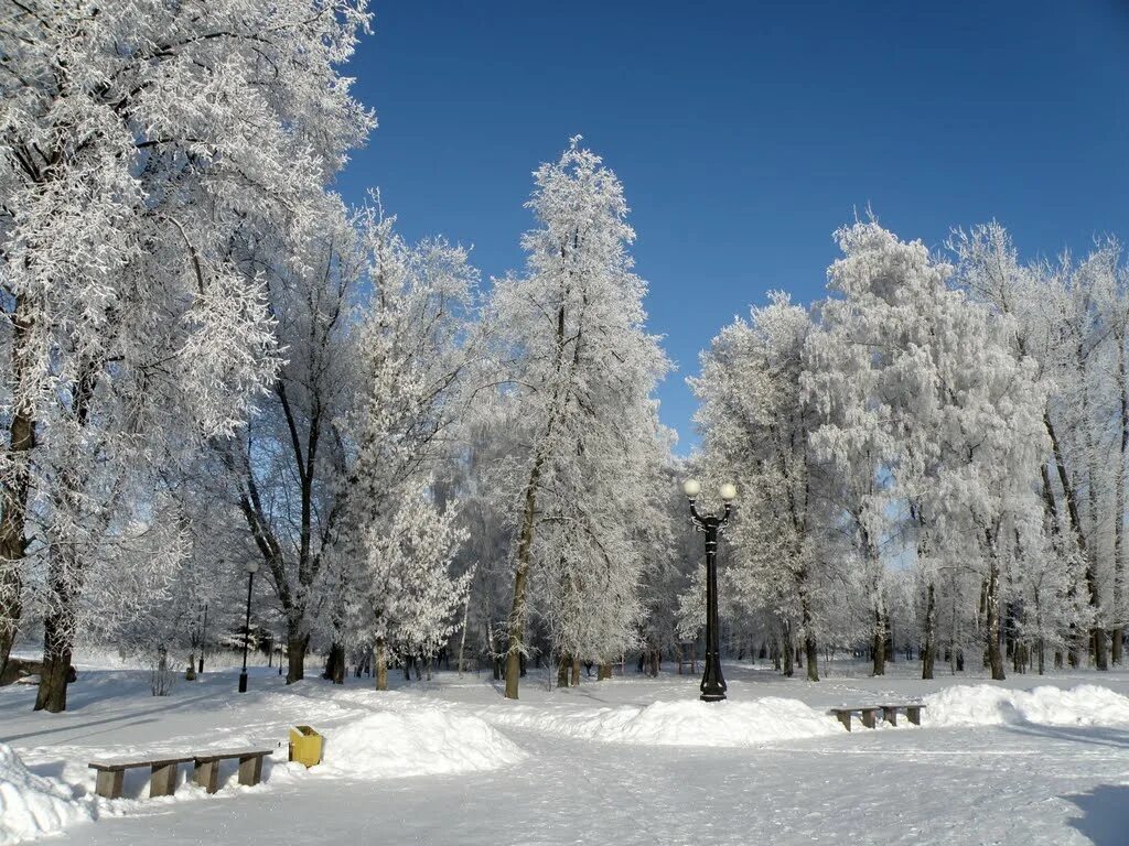 новомосковск тульская область зимой. новомосковск зимой. новомосковск тульская. природа новомосковска тульской области. ротонда новомосковск.