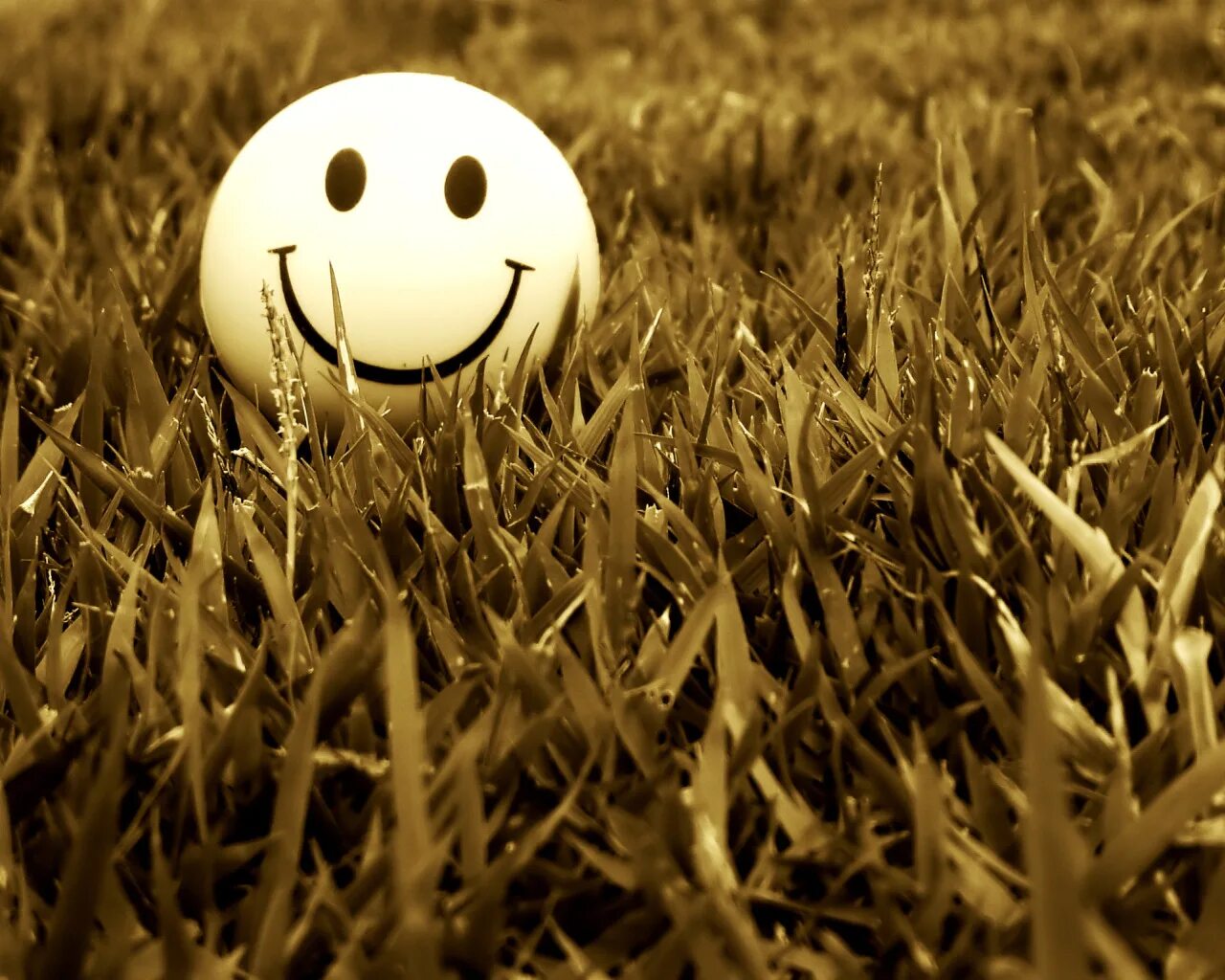 Smiling curve