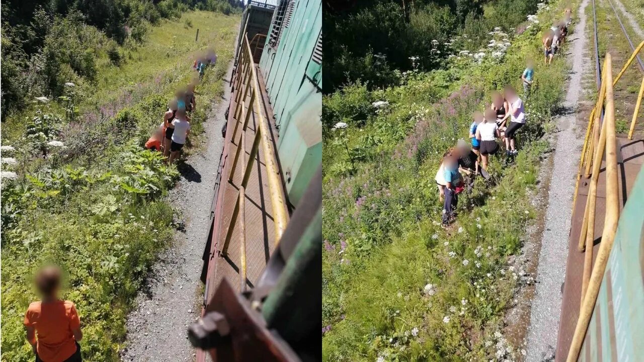 На дороге комплекс багульник перед поворотом Сбега фото.