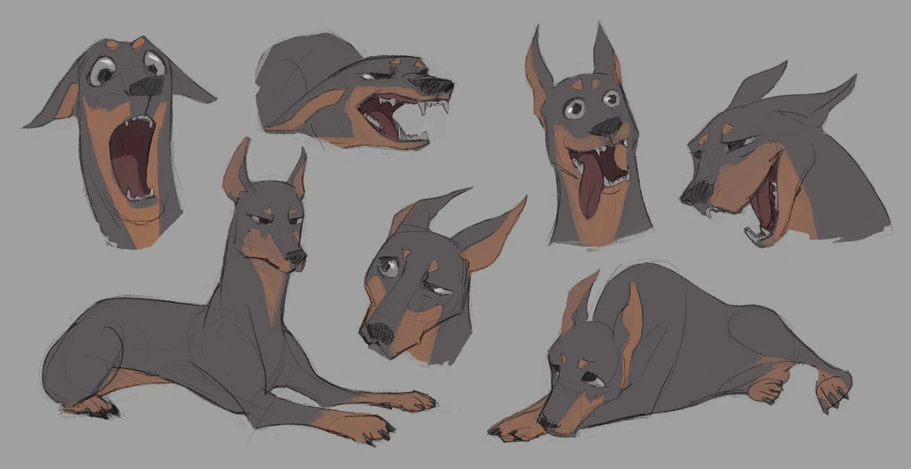 Туториал на бумажную собаку. Бультерьер булли. Анатомия волка референс. Туториал на бумажную собаку. Референсы собак.