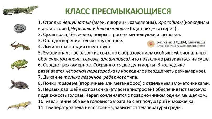 Прогрессивными характеристиками птиц в сравнении с рептилиями. Биологии 7 класс пресмыкающиеся общая характеристика таблица. Класс пресмыкающиеся рептилии общая характеристика. Биология 7 класс пресмыкающиеся или рептилии общая характеристика. Общая характеристика пресмыкающиеся 7 класс биология.