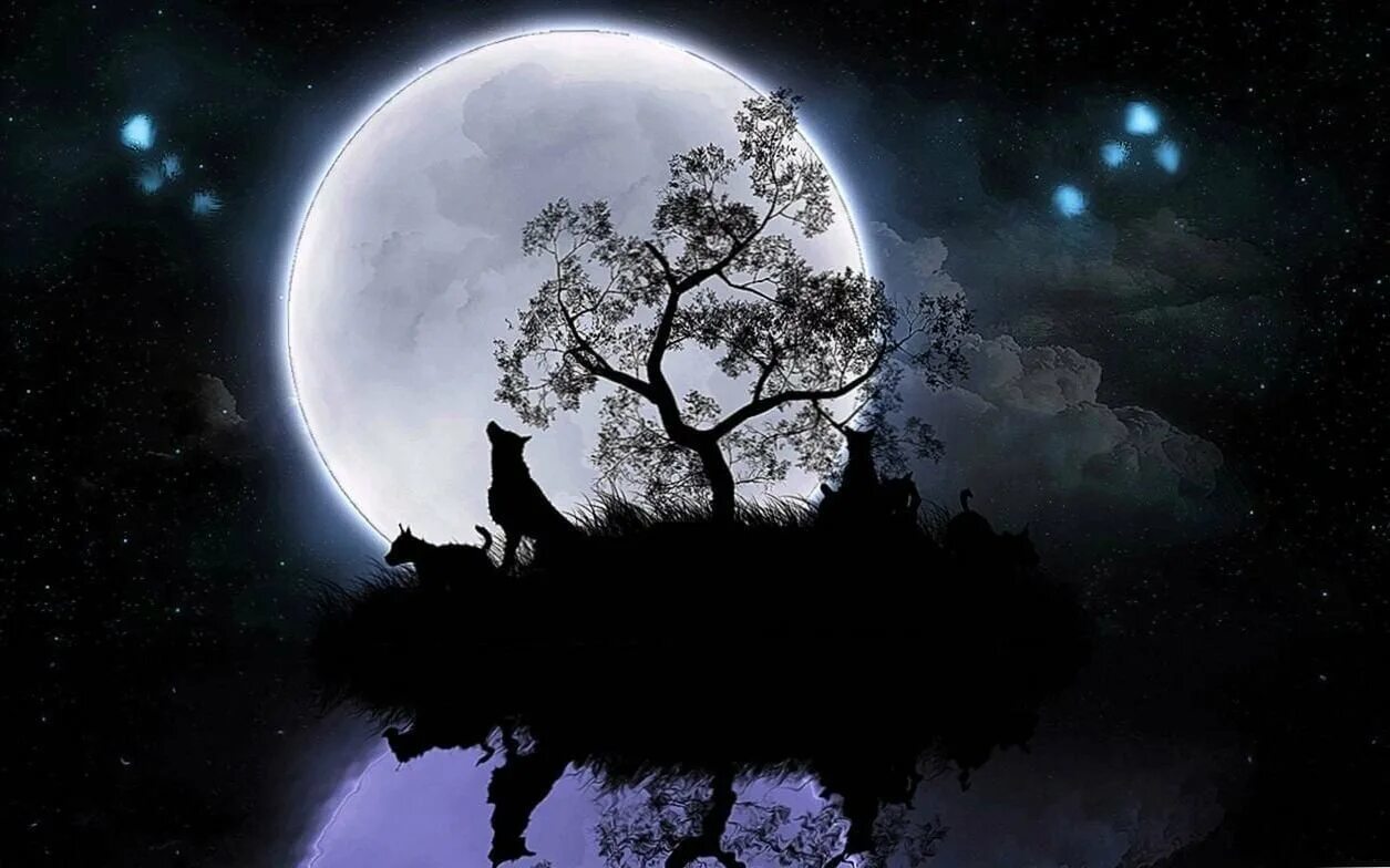 Картина темная луна. Лунная ночь. Мистическая Луна. Черная Луна. Полнолуние фэнтези.