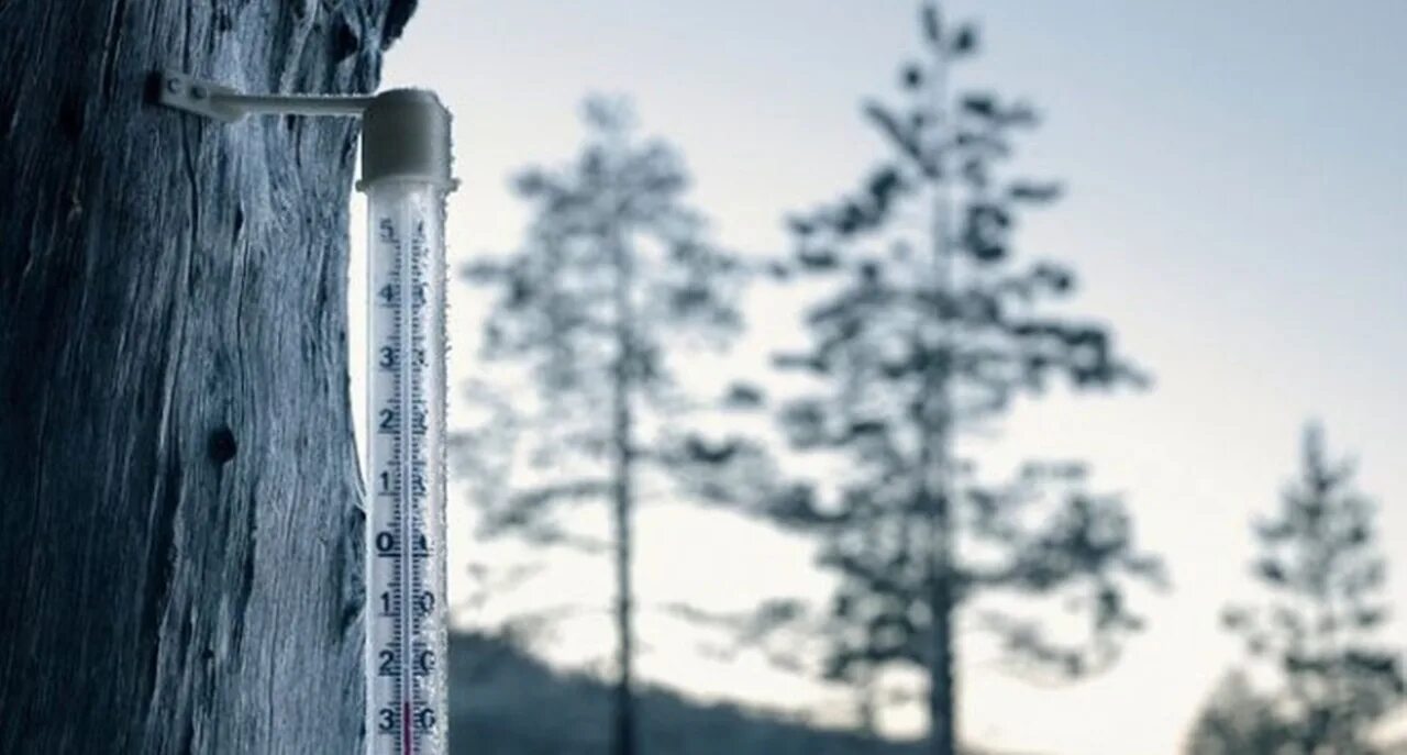 15 до 50 градусов