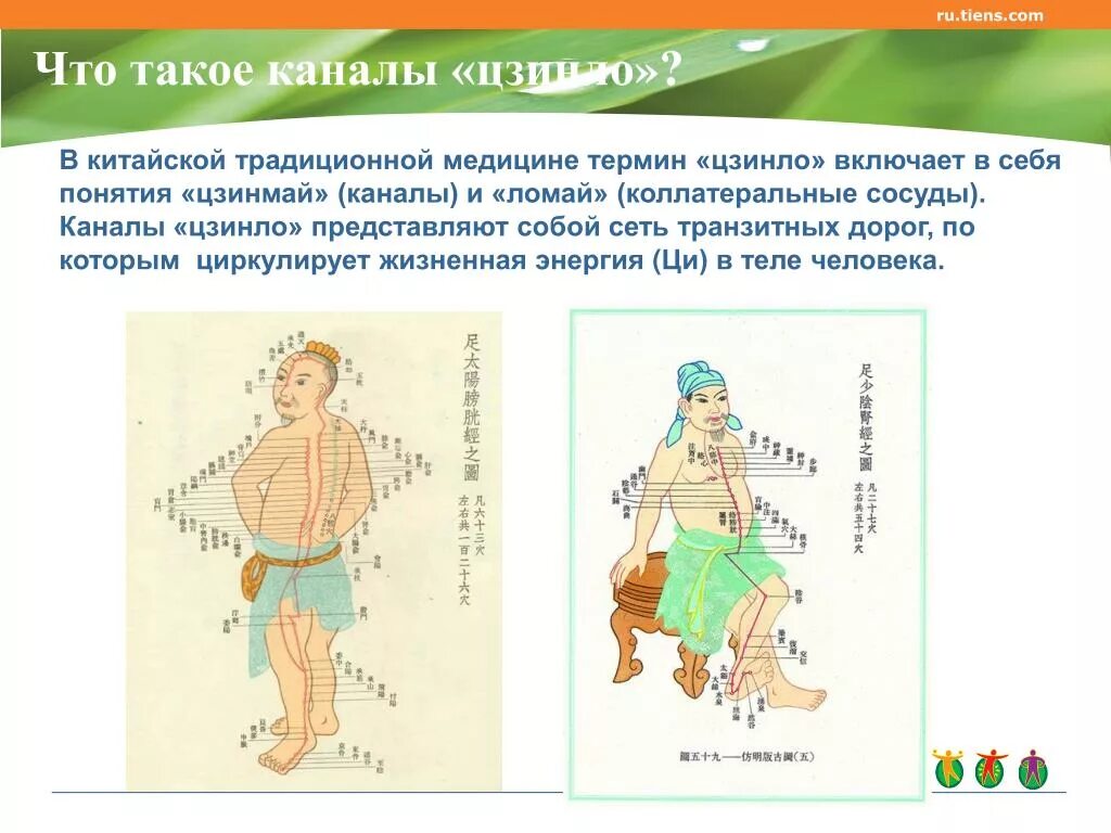 Каналы китайской медицины. Каналы в китайской медицине. Китайская медицина понятие. Система каналов и коллатералей китайской медицины. Меридианы в китайской медицине.