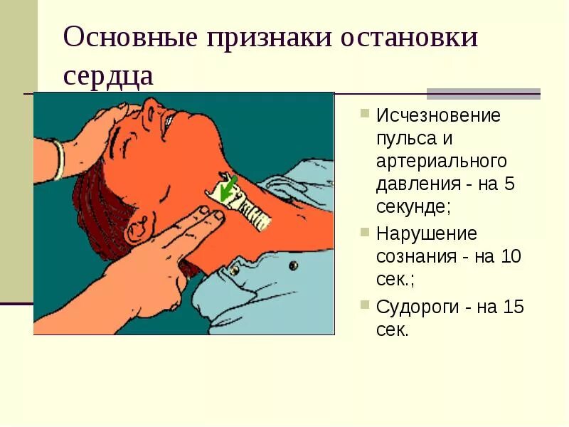 Когда чихаешь сердце останавливается. Признаки остановки сердца. Основные симптомы остановки сердца. Как понять что сердце останавливается. Если у человека остановилось сердце.