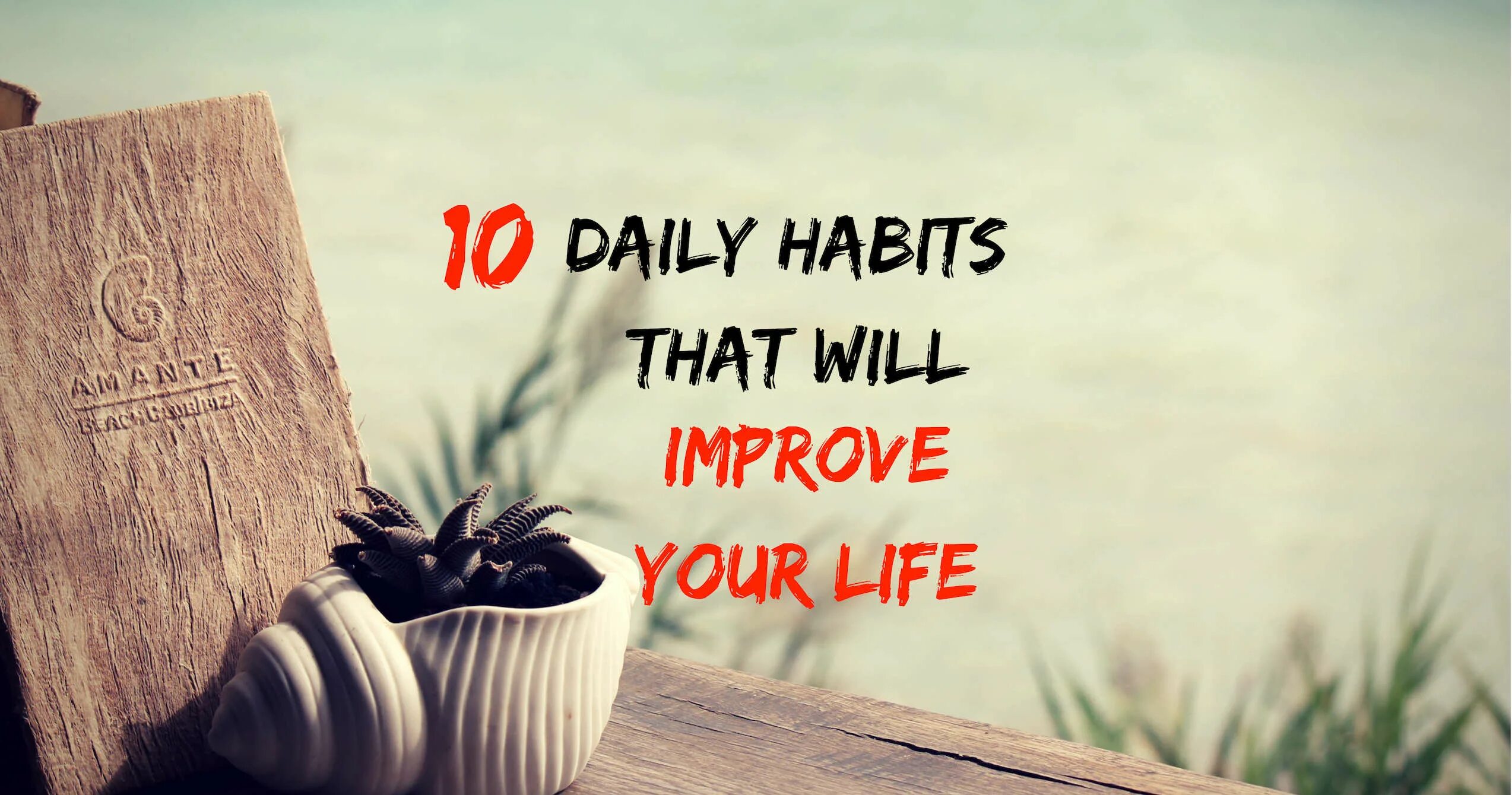 Have this life of mine. Daily Habits. Habits that will change your Life. Improve your Habits. The Daily a good Habits.