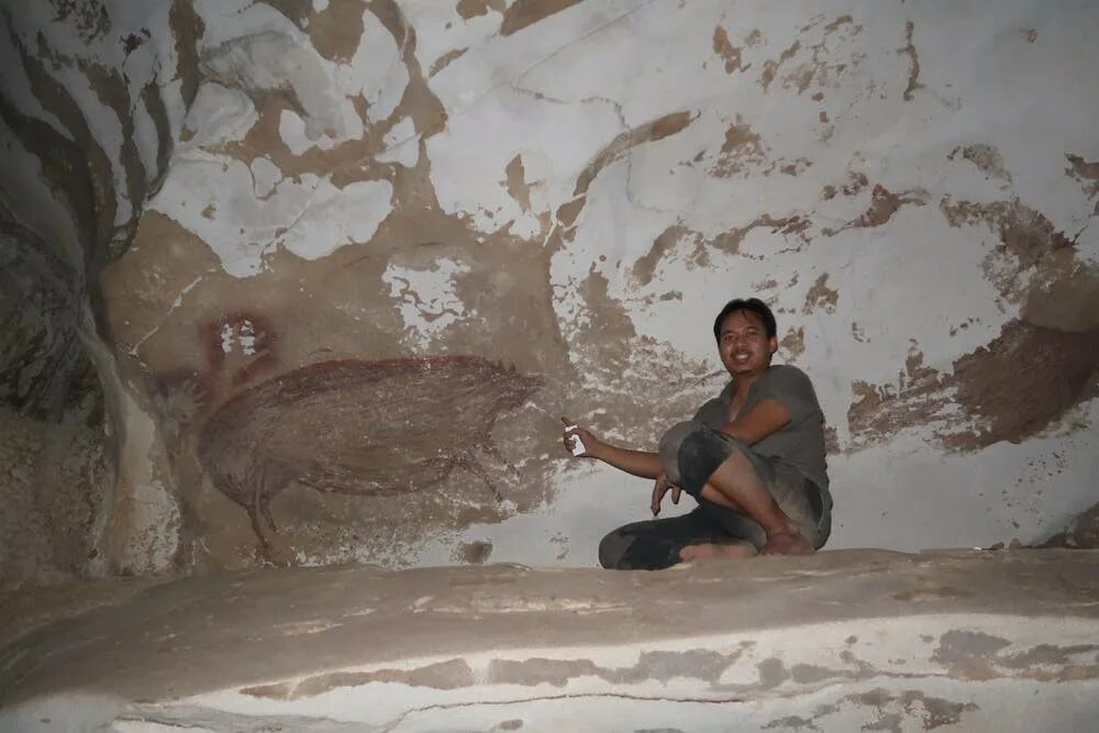 Наскальная живопись Сулавеси. Пещера Сулавеси в Индонезии древние изображения. Сулавеси наскальные рисунки. Пещерная свинья Сулавеси.