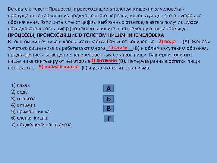 Вставьте в текст пропущенные термины из предложенного перечня. Вставьте пропущенные термины из предложения перечня. Процессы происходящие в толстом кишечнике человека. Вставь пропущенные термины бактерии.