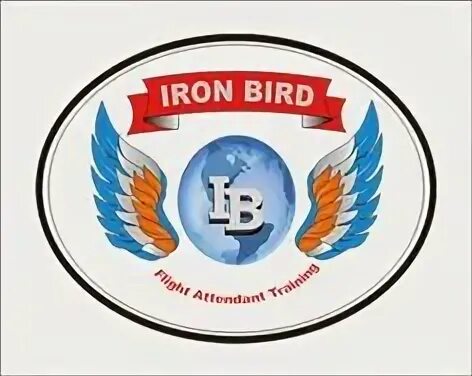 Iron bird перевод