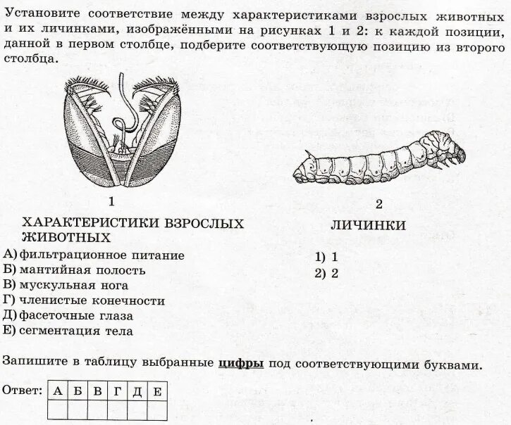 Биология егэ читать. Задания по зоологии. Тестовые задания по зоологии. Зоология ЕГЭ задания. Интересные вопросы ЕГЭ по биологии.