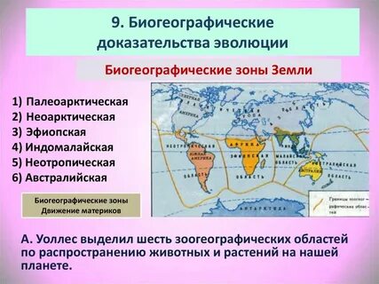 Биогеография изучает