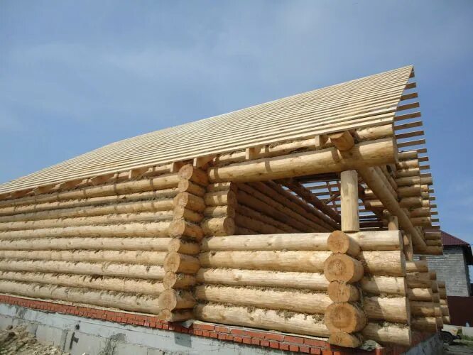 Сруб из дуба. Дом из цилиндрического бруса. Баня сруб 6х4 с выносом 2м. Коттеджный поселок норское ярославль. Дома из бревна ручной рубки.