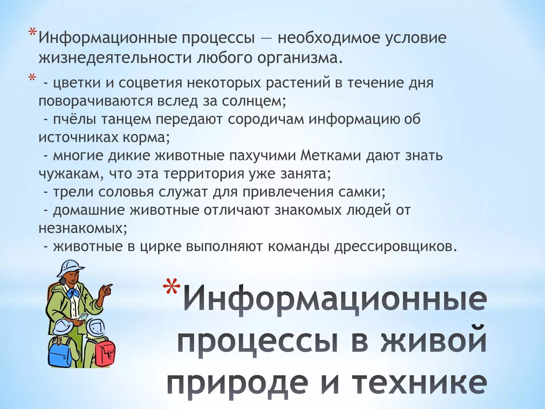 Сильно необходимое условие. Информационные процессы в живой природе и технике. Необходимое условие жизнедеятельности любого организма. Необходимое условие жизнедеятельности любого организма – процессы. Информационные процессы в живых организмах.